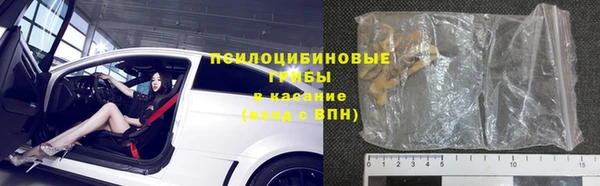 прущие грибы Козловка