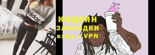 прущие грибы Козловка