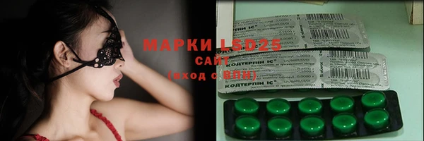 гашик Кодинск