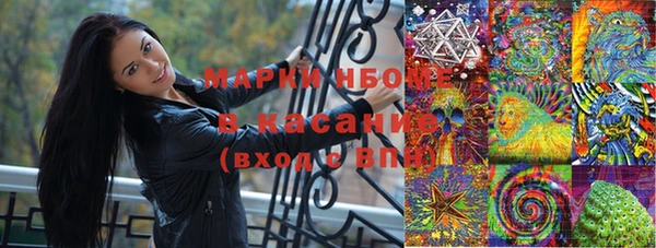 гашик Кодинск
