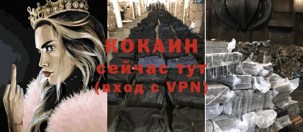 прущие грибы Козловка