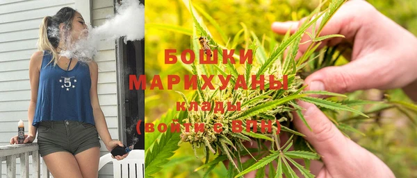 прущие грибы Козловка
