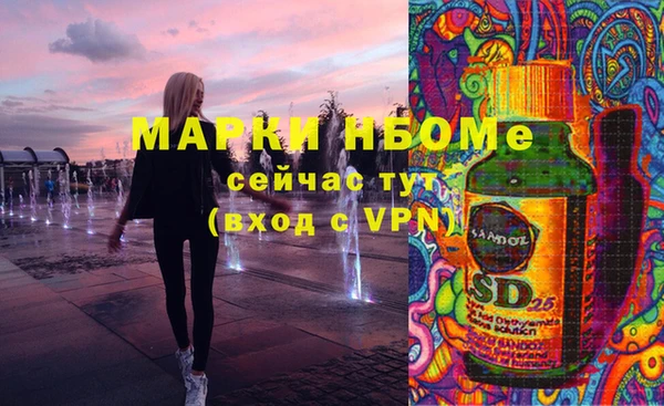 гашик Кодинск