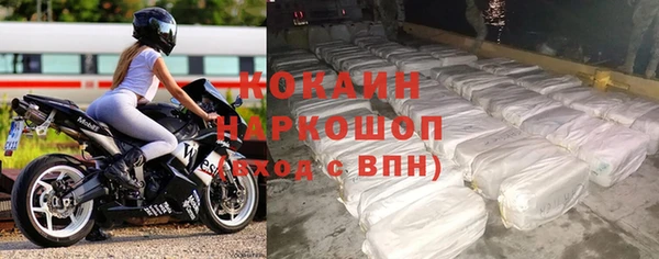 прущие грибы Козловка