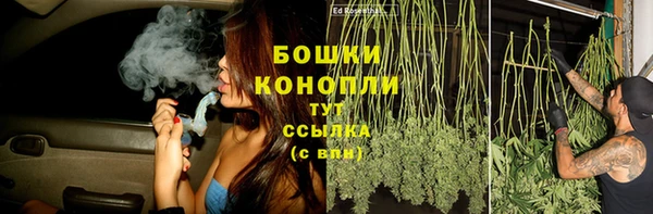 прущие грибы Козловка