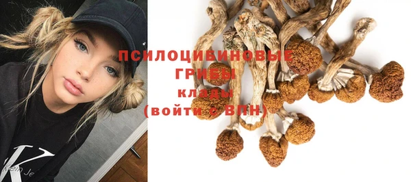гашик Кодинск