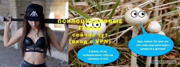 прущие грибы Козловка