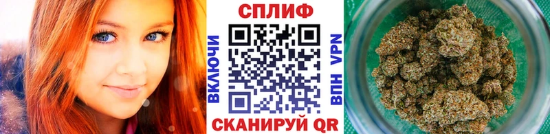 Каннабис семена  Купить где  Вытегра 